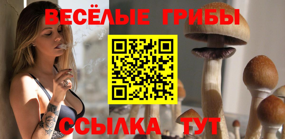 Псилоцибиновые грибы Psilocybine cubensis  Вход с VPN  Усть-Джегута 